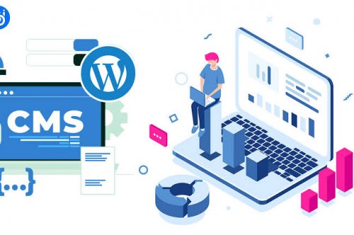 Top Cms Website Builder In Ludhiana